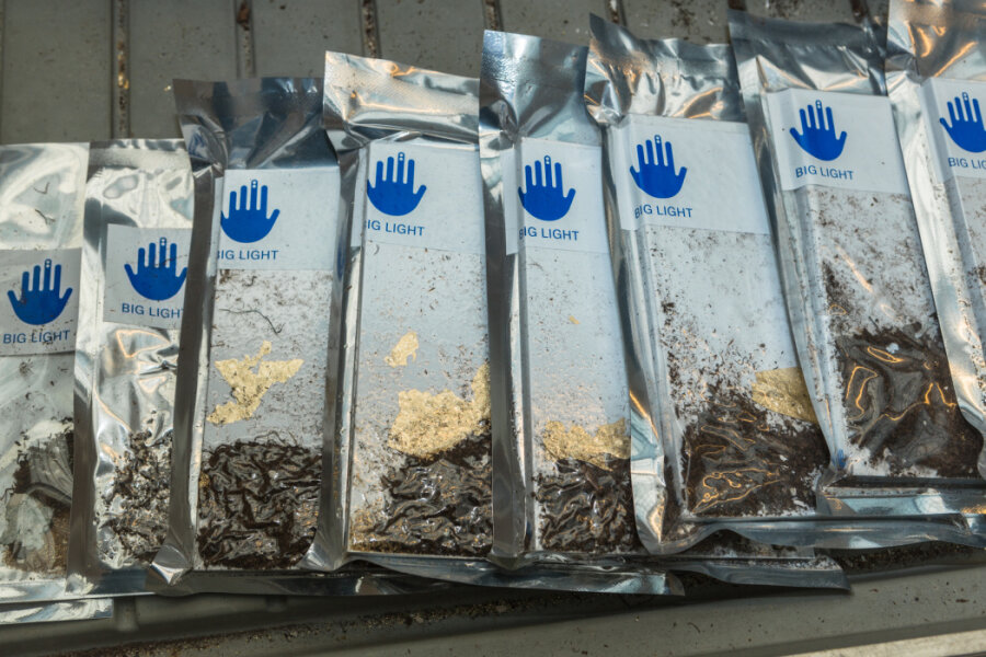 Foto: Václav Jirásek 